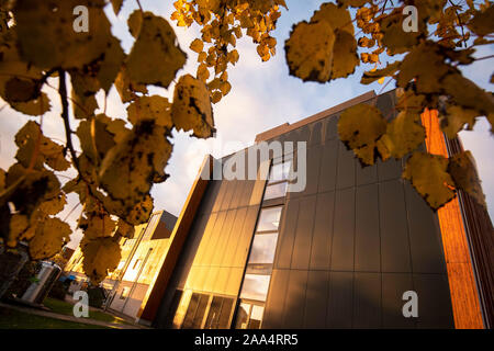 In autunno la luce del mattino sul gateway la costruzione presso il Sutton Bonington Campus dell'Università di Nottingham, Loughborough LEICESTERSHIRE REGNO UNITO Inghilterra Foto Stock