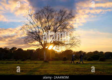 Tramonto autunno park in scena a New Forest NP con sun peaking attraverso albero sfrondato di nuvole, sunbeam. Ombra di due persone a piedi Foto Stock