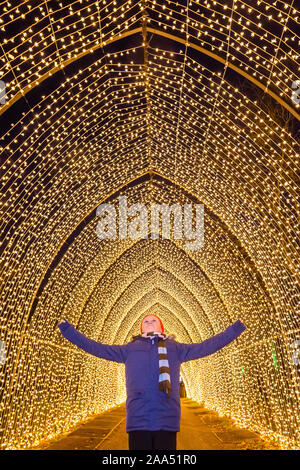 Londra, Regno Unito. Xix Nov, 2019. Cattedrale di luce - Natale a Kew - la festa annuale di visualizzazione delle luci stagionali in Kew Gardens. Si va dal 20 novembre 2019 - 5 gennaio 2020 Credit: Guy Bell/Alamy Live News Foto Stock
