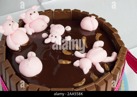 Zucchero a velo suini - wallowing in torta al cioccolato Foto Stock