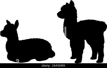 Silhouette di due piccoli alpaca llama cub. Vector illustrator Illustrazione Vettoriale