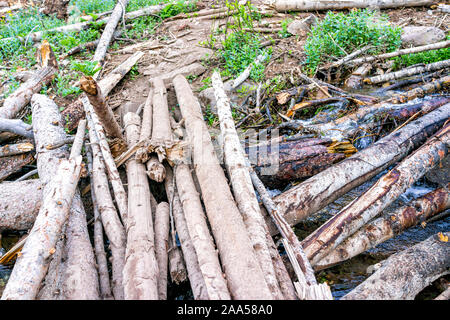Sentiero sentiero per lago ghiacciato vicino Silverton, Colorado in agosto 2019 mattina d'estate con la valanga di detriti che coprono i registri di attraversamento di fiume Foto Stock