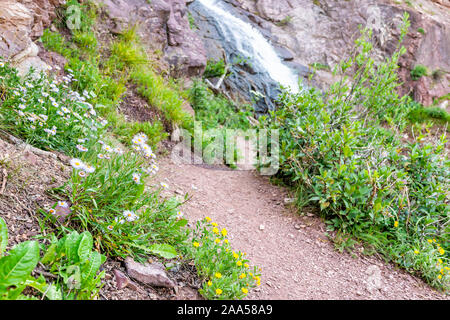 La cascata di vista fiume su pista di ghiaccio al lago vicino Silverton, Colorado in agosto 2019 estate con percorso e fiori di campo Foto Stock