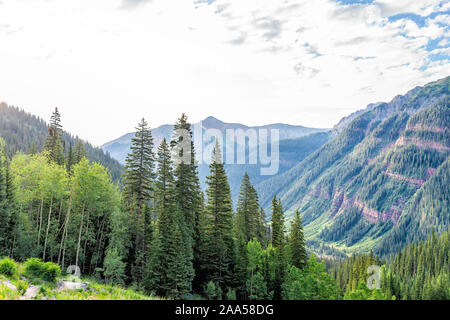 Di conifere abeti foresta vista dal sentiero per il lago di ghiaccio in Silverton, Colorado in agosto 2019 estate alba valle verde Foto Stock