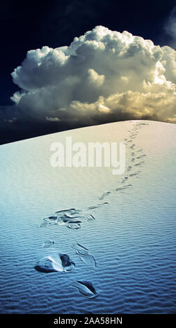 Orme nel deserto. White Sands New Mexico USA Foto Stock