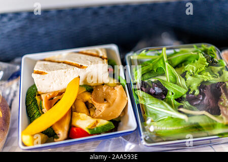 Un sano pasto vegano cibo vgml snack sul volo in aereo con grigliate di tofu, verdure e verde insalata fresca macro closeup Foto Stock