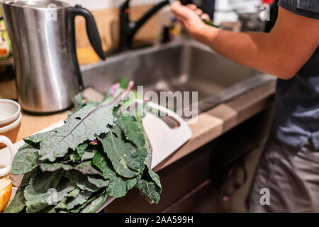 Pila di lavato verde bagnato rosse foglie di cavolo sul bancone cucina con l uomo il lavaggio della verdura per montaggio sopra il lavello per pasto sano la cottura di preparazione Foto Stock