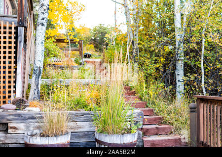 Autunno decori vegetali paesaggi terrazzati lungo ripidi gradini in legno con nessuno architettura del giardino nel cortile di casa in Colorado Foto Stock