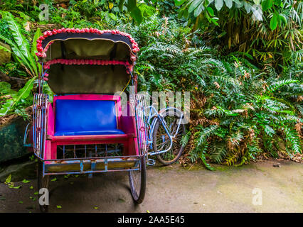 Ciclo di asiatici ricksha carrello, vista sul sedile, mezzi di trasporto tradizionali di asia Foto Stock