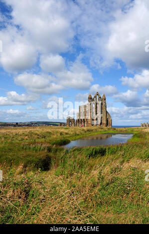 Whitby Abbey. Pond. Archi. Ritratto. Foto Stock