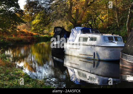 Barca bianca ormeggiata sulla tomaia Caldon canal in autunno a Longsdon, Staffordshire Foto Stock