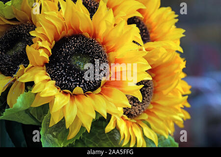 Bouquet di decorativi fiori giallo di un girasole. Girasole giallo petali con un nero medio e foglie verdi. Piante artificiali per interni deco Foto Stock