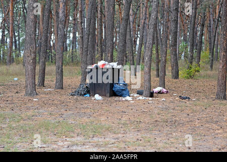 Un ferro inferriata sorge in un bosco di conifere di close-up. Un ferro da stiro urn è riempito di immondizia, immondizia è in giro. Protezione ambientale, abito Foto Stock