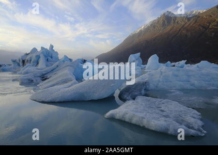 Iceberg galleggianti in ghiacciaio Knik Laguna, Chugach Mountains, Alaska Foto Stock