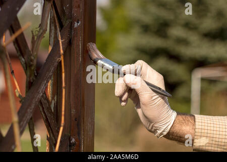 Restauro e manutenzione del giardino pergola. Una mano d'uomo in un guanto di gomma contiene un pennello e dipinge una tavola di legno di mobili da giardino in bro Foto Stock