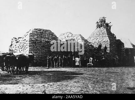 La somministrazione di cibo - Campagna Anti-Waste - grano pronto per la spedizione in Europa. Salvare la tua fetta un giorno rende questo possibile ca. 1916-1919 Foto Stock