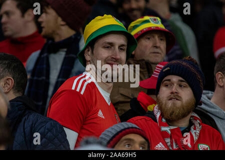 Cardiff, Regno Unito. 19 Nov 2019. Il Galles di ventilatori in Galles v Ungheria UEFA EURO 2020 il qualificatore a Cardiff City Stadium. Credito: Lewis Mitchell/Alamy Live News Foto Stock