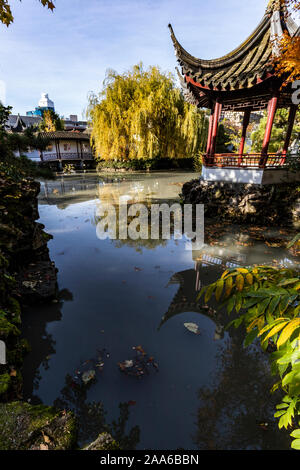 Sun Yat Sen classico giardino Cinese è un oasi di tranquillità in Vancouver che è stato modellato dopo la Dinastia Ming studiosi " giardini di Suzhou e becam Foto Stock