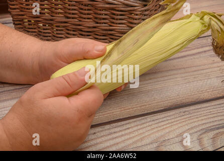 Le mani di un uomo che pulisce una spiga di grano su un sfondo di legno. Raccolto autunnale, cibo sano, dieta Fitness. Close up Foto Stock