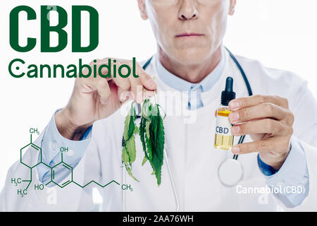 Vista ritagliata di dottore in camice bianco cbd di tenuta olio e foglia di marijuana isolato su bianco con la molecola del CBD di illustrazione Foto Stock