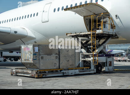 Air Cargo logistica sono contenitori di carico di un aereo.Trasporti e industria aerospaziale consegnano i bagagli dei passeggeri aerei quando arrivano a t Foto Stock