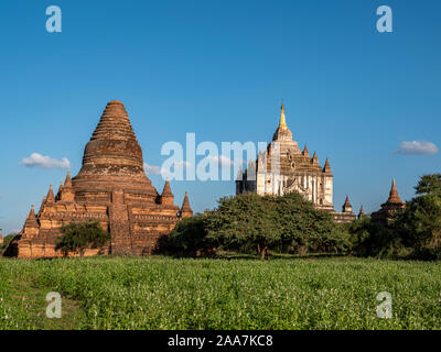 La zona archeologica e antico tempio complessi di Bagan (pagano), Myanmar (Birmania) del 9th-13th secoli, ora un sito Patrimonio Mondiale dell'UNESCO Foto Stock