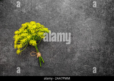 Erbe fresche di aneto fiore su sfondo nero Foto Stock