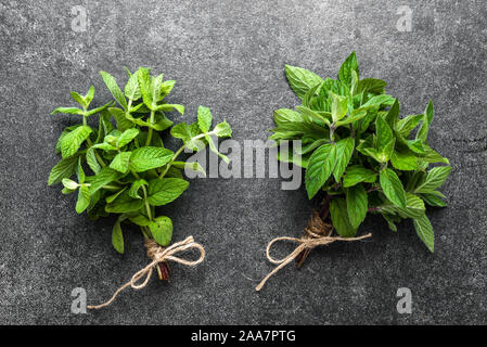 Le erbe culinarie. Il verde di foglie di menta fresca. Mazzetti di menta raccolta di recente dal giardino. Foto Stock