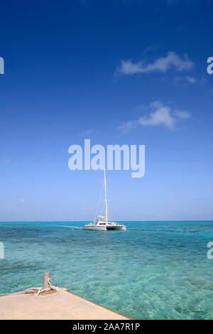 Un catamarano costeggiando verso un molo nei Caraibi con il bel cielo azzurro e mare turchese. Foto Stock