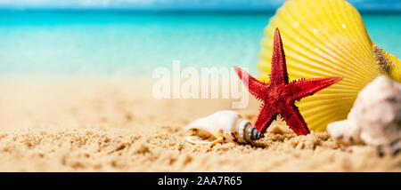 Tropical vacanze estive - conchiglie e stelle marine sulla spiaggia esotica sabbia con l'oceano sullo sfondo. spazio copia Foto Stock