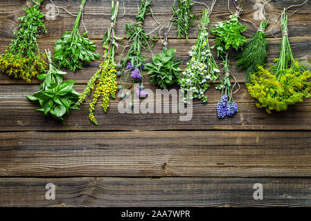 Mazzetti di erbe appena raccolte le erbe del giardino Foto Stock