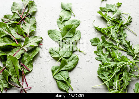 Appena raccolto foglie di insalata. La rucola, barbabietole e baby spinaci. Foto Stock