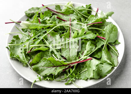 Mix di insalata, fresche foglie di rucola, lattughe e spinaci bietole Foto Stock