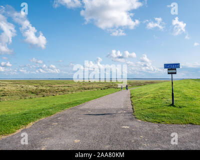 Gente in bicicletta sulla pista ciclabile tra dike e saline sulla West Frisone isola Schiermonnikoog, Paesi Bassi Foto Stock