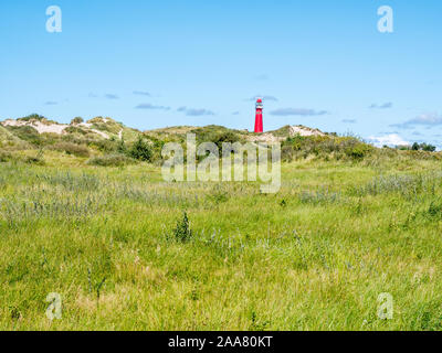Faro Torre Nord in Dune Westerduinen sulla West Frisone isola Schiermonnikoog, Paesi Bassi Foto Stock