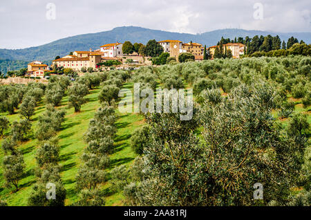 Artimino, Toscana, Italia panorama della città vecchia dalla famosa villa. Vista panoramica tra vecchi oliveti e verdi colline Foto Stock