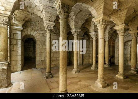 Francia, Saône et Loire, Tournus, Saint Philibert chiesa abbaziale, interno, Saint Valerien cripta, colonne // Francia Saône-et-Loire (71), Tournus, égl Foto Stock