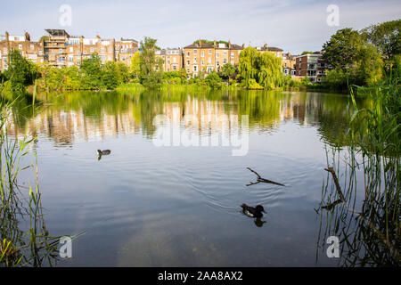 London, England, Regno Unito - 4 Luglio 2019: case a schiera e gli alberi sono riflesse in Hampstead n. 2 stagno su London Hampstead Heath park. Foto Stock