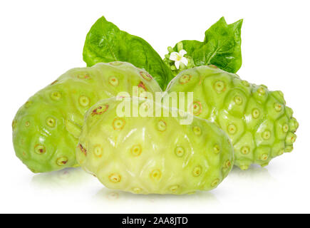 Morinda citrifolia noni su sfondo bianco Foto Stock