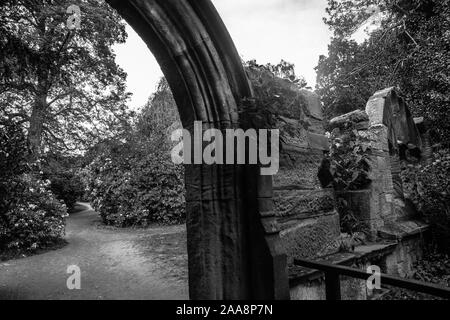 Il vecchio edificio gotico Yorkshire Ray Boswell Foto Stock