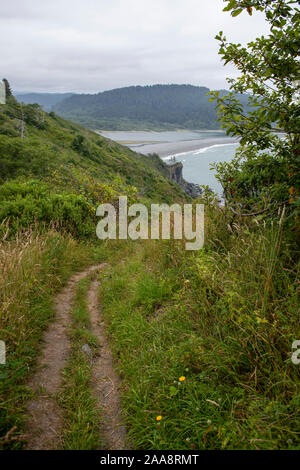 Cliff trail lungo l'Oceano Pacifico presso la foce del fiume Klamath Foto Stock