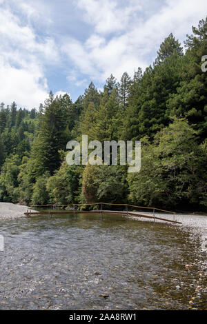 Piede piccolo ponte sulla tranquilla poco profonda Redwood Creek in una lussureggiante foresta Foto Stock