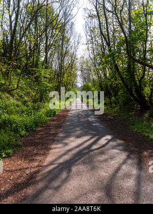 Bristol, Inghilterra, Regno Unito - 21 Aprile 2011: Un ciclista scorre attraverso il corridoio verde del Bristol e Bath percorso ferroviario. Foto Stock