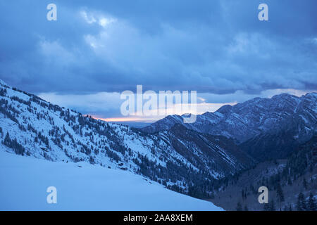 Neve e pini di Wasatch Mountains nello Utah, Stati Uniti d'America Foto Stock