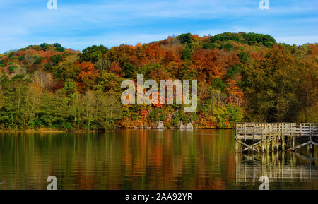 I colori autunnali a Warriors stato parco situato lungo le rive del Patrick Henry serbatoio sul fiume Holston in Kingsport, Tennessee Foto Stock