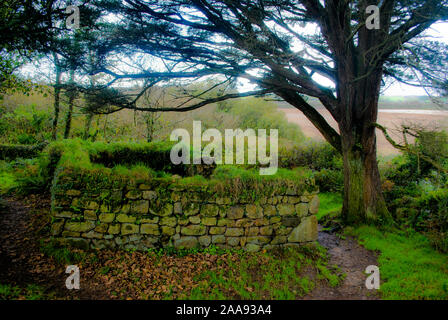 Cappella Boswarthen/battistero, Madron vicino a West Cornwall Foto Stock