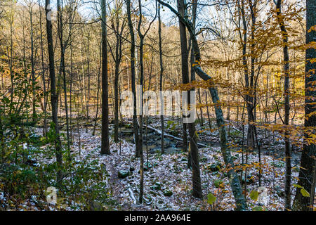 Rockway Falls Conservation Area e Louth Falls Conservation Area Niagara Scarpata Valley Lincoln Ontario Canada in autunno Foto Stock