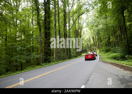 Cars driving lungo parkway us 441 autostrada percorso attraverso il parco nazionale di Great Smoky mountains usa Foto Stock