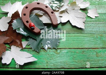 La foto mostra un ferro di cavallo su assi di legno Foto Stock