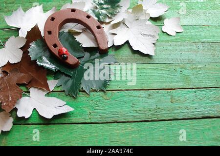 La foto mostra il ferro di cavallo su assi di legno Foto Stock